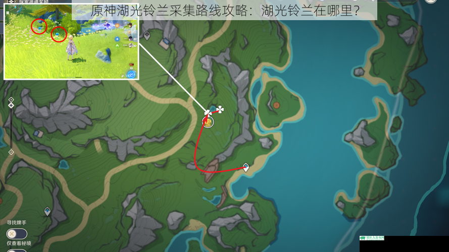 原神湖光铃兰采集路线攻略:湖光铃兰在哪里?