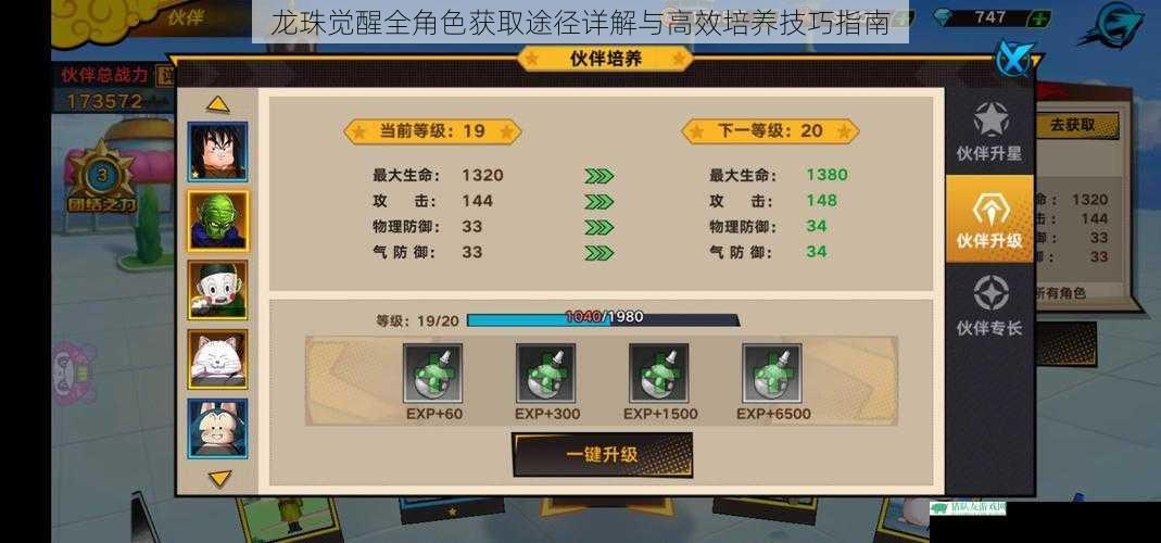 龙珠觉醒全角色获取途径详解与高效培养技巧指南