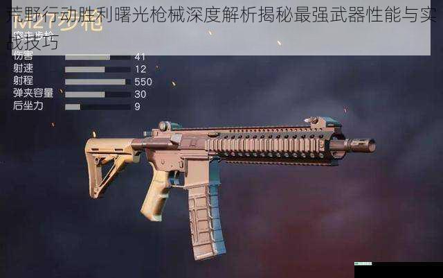 荒野行动胜利曙光枪械深度解析揭秘最强武器性能与实战技巧