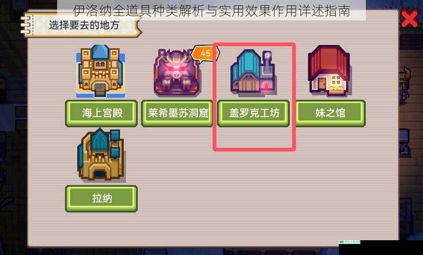 伊洛纳全道具种类解析与实用效果作用详述指南