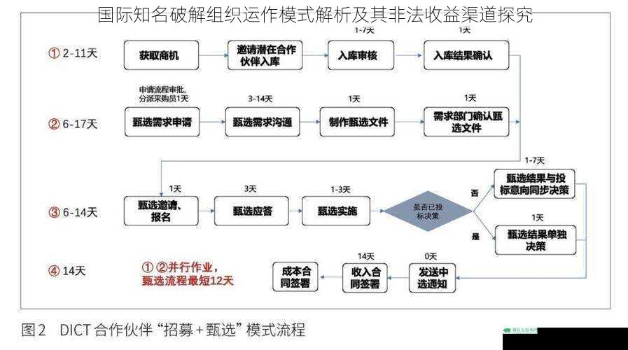 国际知名破解组织运作模式解析及其非法收益渠道探究