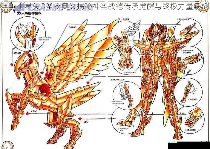 圣斗士星矢Ω圣衣奥义揭秘神圣战铠传承觉醒与终极力量解析