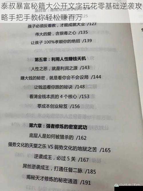 泰叔暴富秘籍大公开文字玩花零基础逆袭攻略手把手教你轻松赚百万