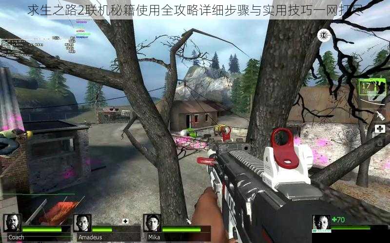 求生之路2联机秘籍使用全攻略详细步骤与实用技巧一网打尽