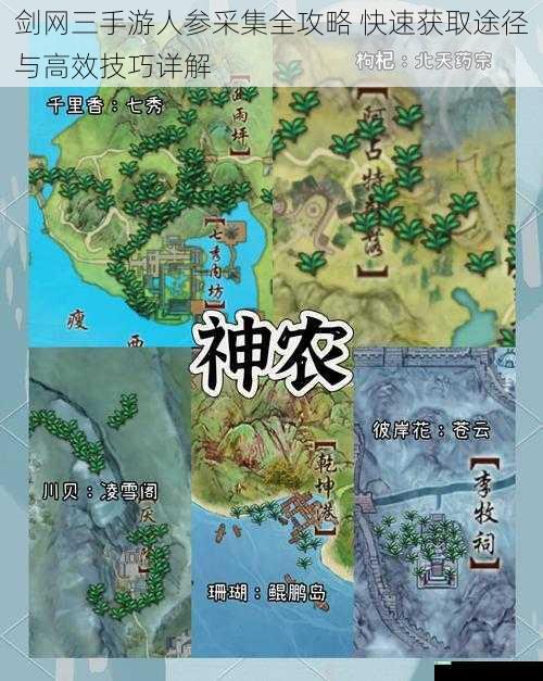 剑网三手游人参采集全攻略 快速获取途径与高效技巧详解