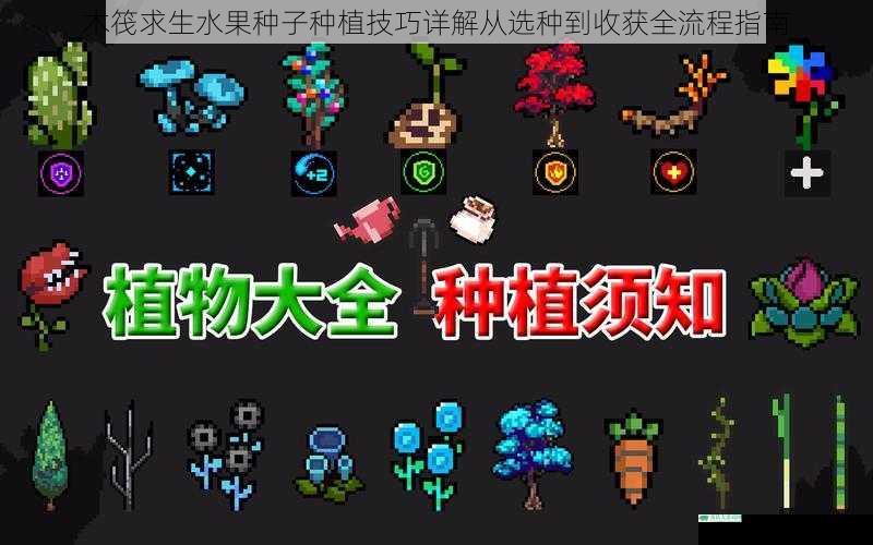 木筏求生水果种子种植技巧详解从选种到收获全流程指南