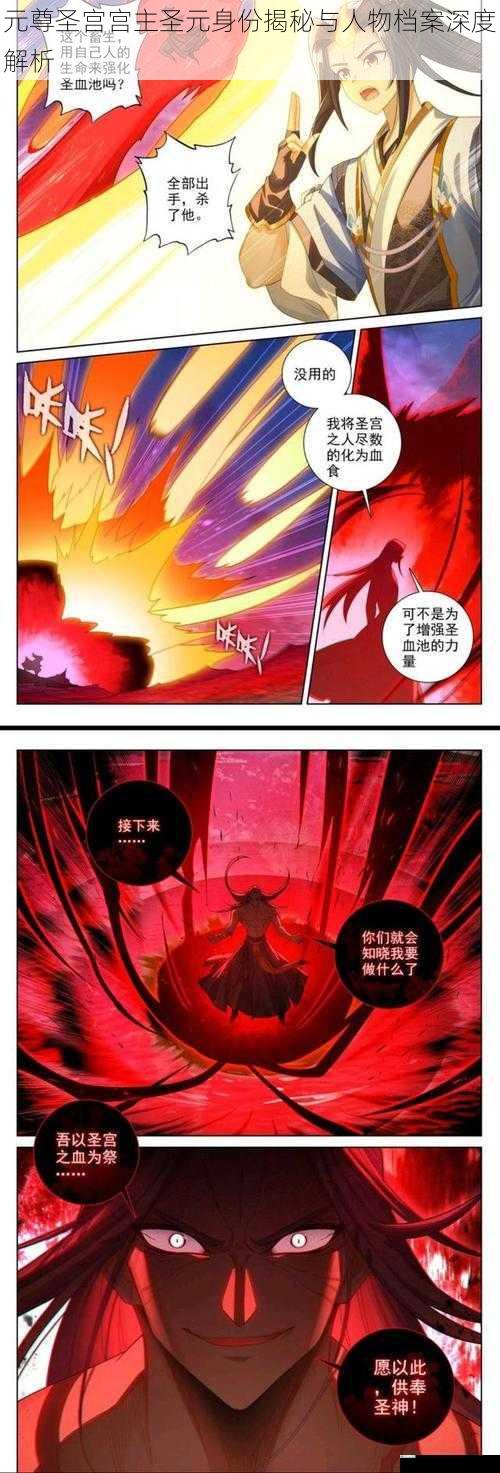 元尊圣宫宫主圣元身份揭秘与人物档案深度解析