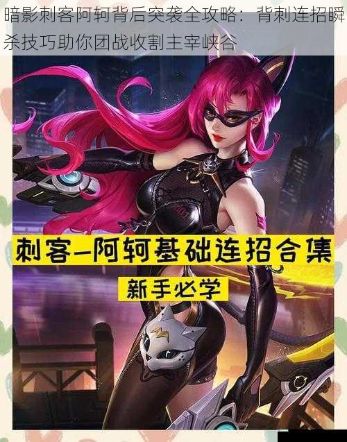 暗影刺客阿轲背后突袭全攻略：背刺连招瞬杀技巧助你团战收割主宰峡谷