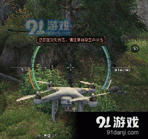 明日之后银杏苗获取方式详解快速收集技巧与途径一览