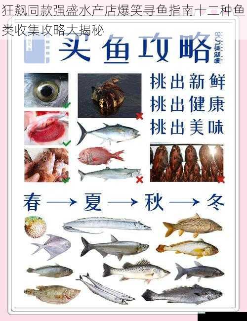 狂飙同款强盛水产店爆笑寻鱼指南十二种鱼类收集攻略大揭秘