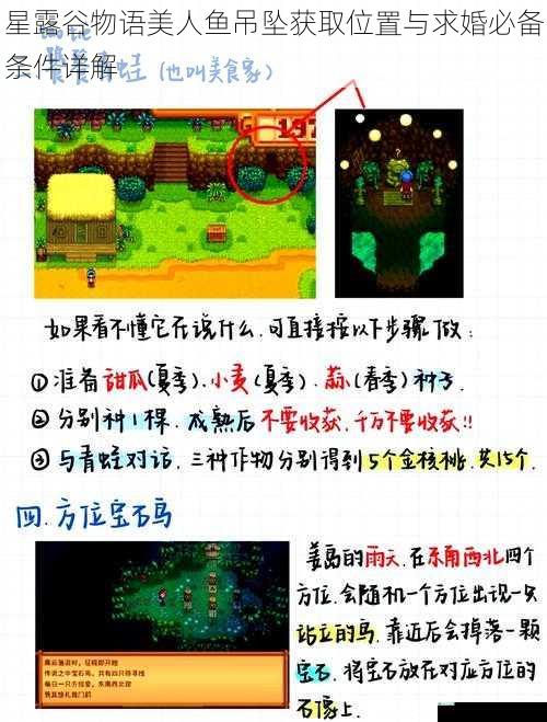 星露谷物语美人鱼吊坠获取位置与求婚必备条件详解