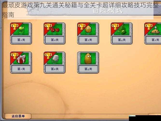 最顽皮游戏第九关通关秘籍与全关卡超详细攻略技巧完整指南