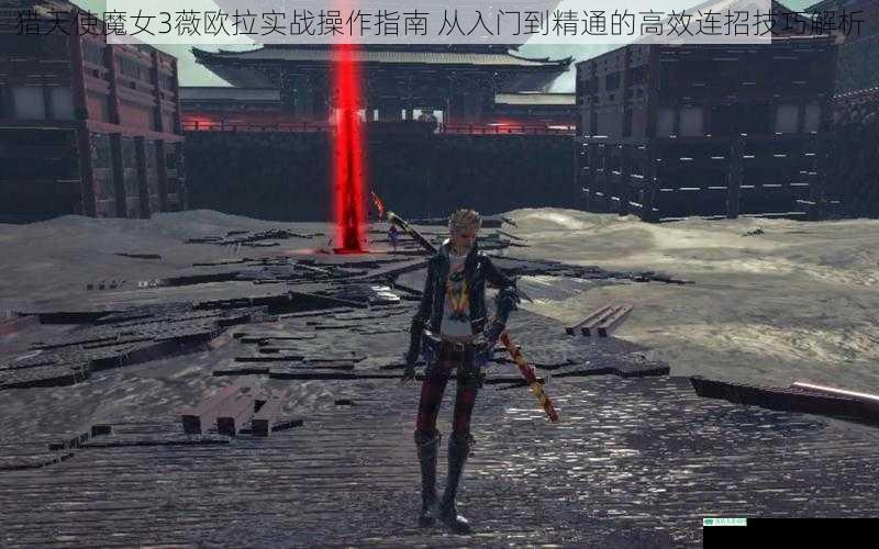 猎天使魔女3薇欧拉实战操作指南 从入门到精通的高效连招技巧解析