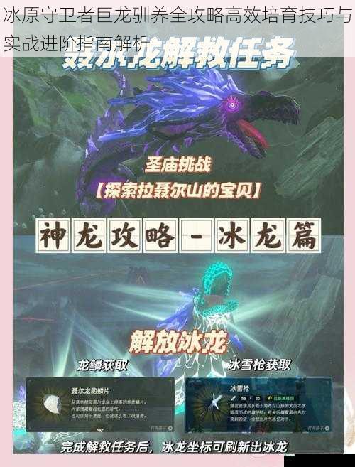 冰原守卫者巨龙驯养全攻略高效培育技巧与实战进阶指南解析