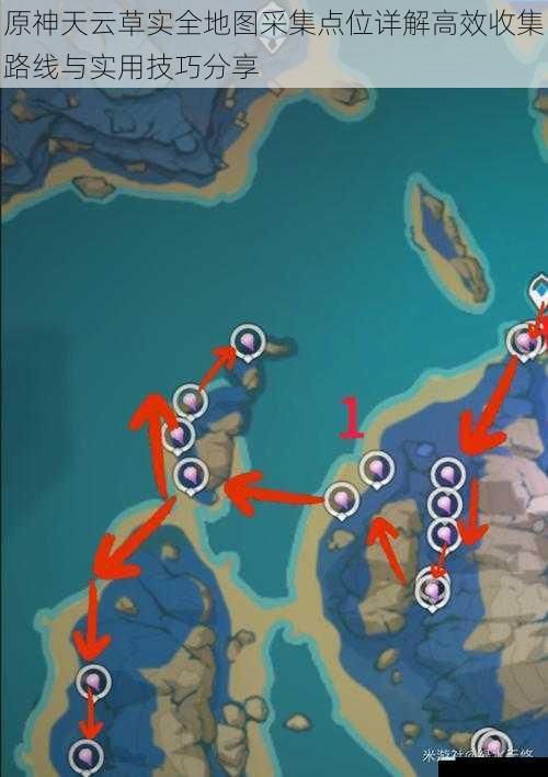 原神天云草实全地图采集点位详解高效收集路线与实用技巧分享