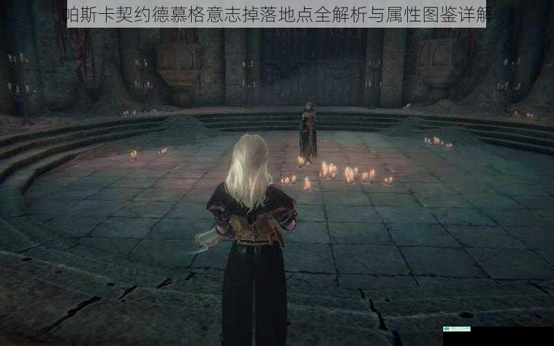 帕斯卡契约德慕格意志掉落地点全解析与属性图鉴详解