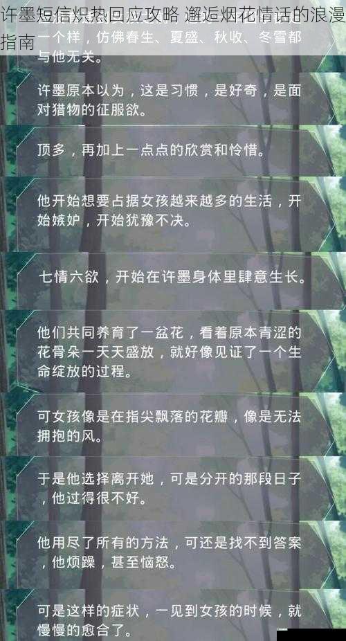 许墨短信炽热回应攻略 邂逅烟花情话的浪漫指南