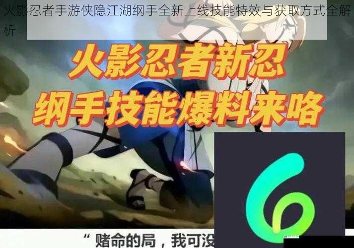 火影忍者手游侠隐江湖纲手全新上线技能特效与获取方式全解析