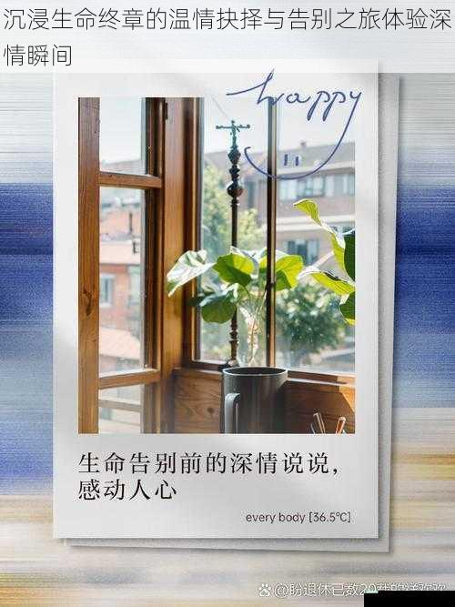 沉浸生命终章的温情抉择与告别之旅体验深情瞬间
