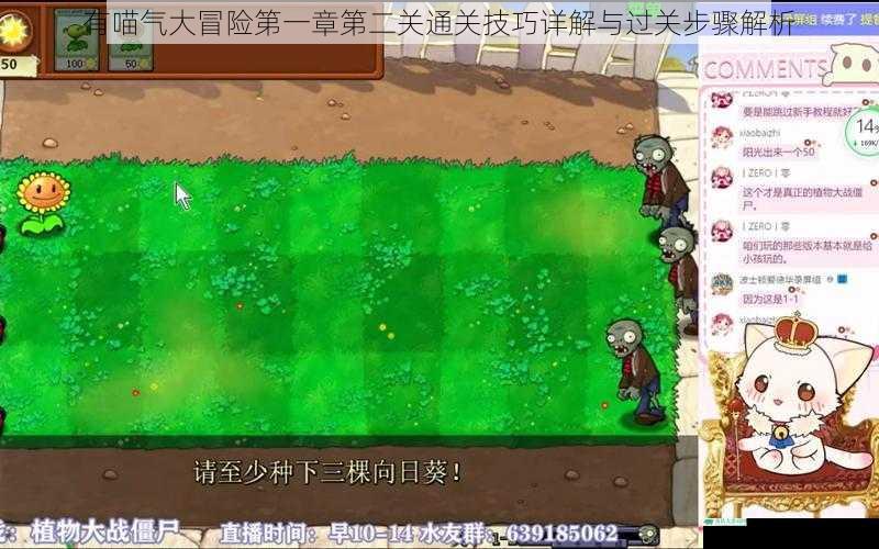 有喵气大冒险第一章第二关通关技巧详解与过关步骤解析