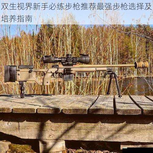 双生视界新手必练步枪推荐最强步枪选择及培养指南