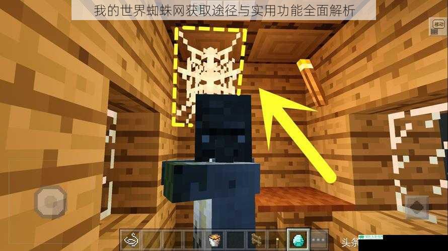 我的世界蜘蛛网获取途径与实用功能全面解析