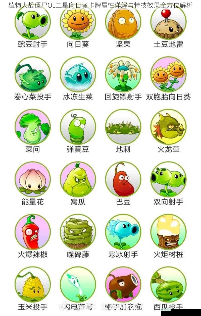 植物大战僵尸OL二星向日葵卡牌属性详解与特技效果全方位解析
