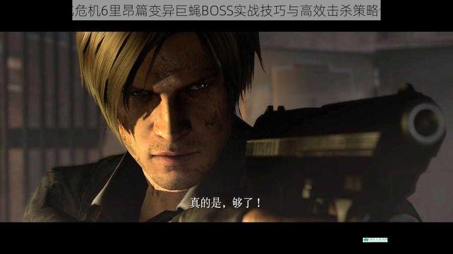 生化危机6里昂篇变异巨蝇BOSS实战技巧与高效击杀策略详解