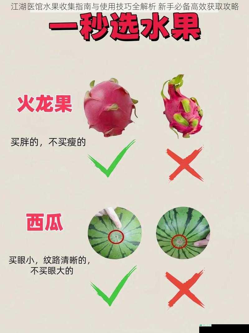 江湖医馆水果收集指南与使用技巧全解析 新手必备高效获取攻略
