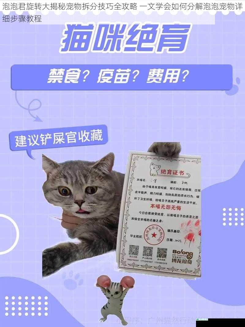 泡泡君旋转大揭秘宠物拆分技巧全攻略 一文学会如何分解泡泡宠物详细步骤教程
