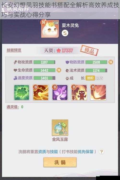 长安幻想凤羽技能书搭配全解析高效养成技巧与实战心得分享