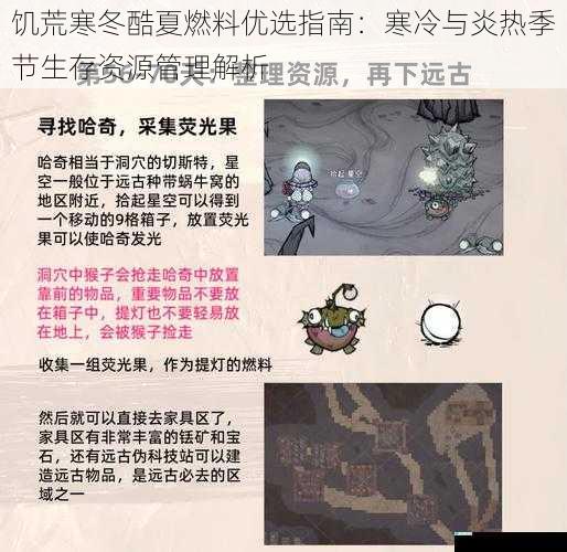 饥荒寒冬酷夏燃料优选指南：寒冷与炎热季节生存资源管理解析