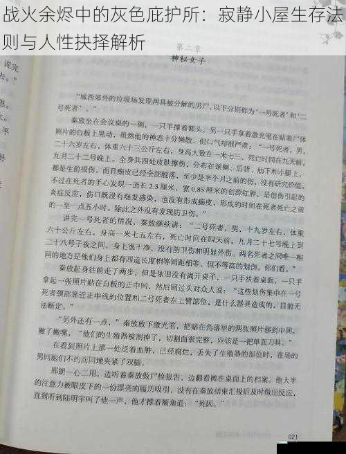 战火余烬中的灰色庇护所：寂静小屋生存法则与人性抉择解析