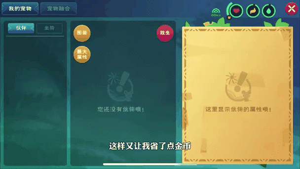 创造与魔法坐骑系统全解析从获取培养到战斗技巧一网打尽