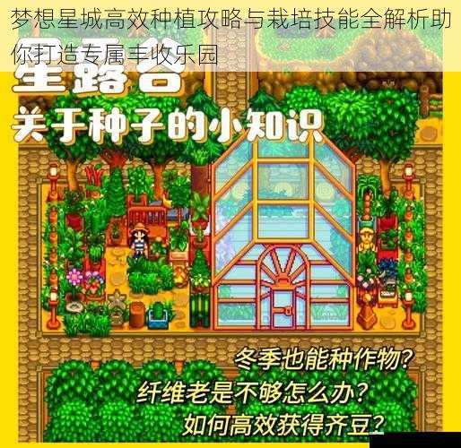 梦想星城高效种植攻略与栽培技能全解析助你打造专属丰收乐园