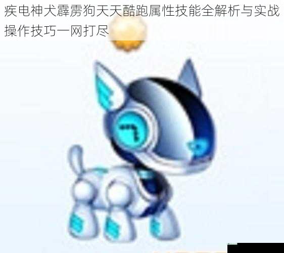 疾电神犬霹雳狗天天酷跑属性技能全解析与实战操作技巧一网打尽