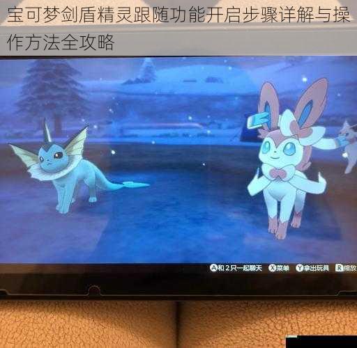 宝可梦剑盾精灵跟随功能开启步骤详解与操作方法全攻略