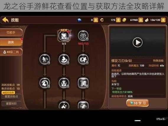 龙之谷手游鲜花查看位置与获取方法全攻略详解