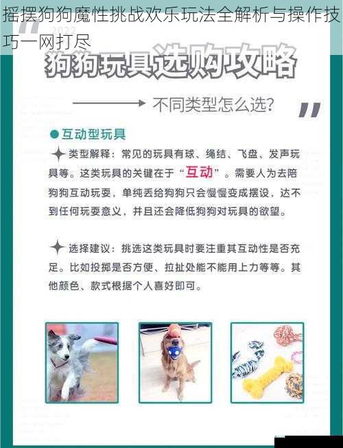 摇摆狗狗魔性挑战欢乐玩法全解析与操作技巧一网打尽