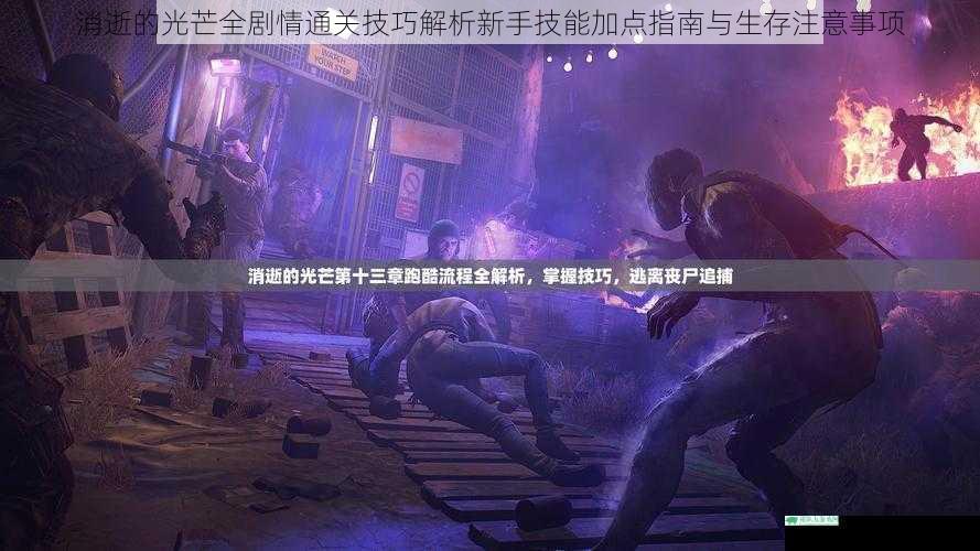 消逝的光芒全剧情通关技巧解析新手技能加点指南与生存注意事项