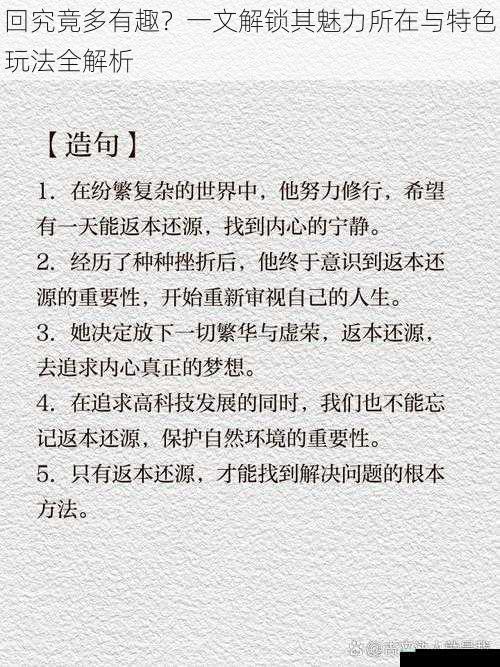 回究竟多有趣？一文解锁其魅力所在与特色玩法全解析