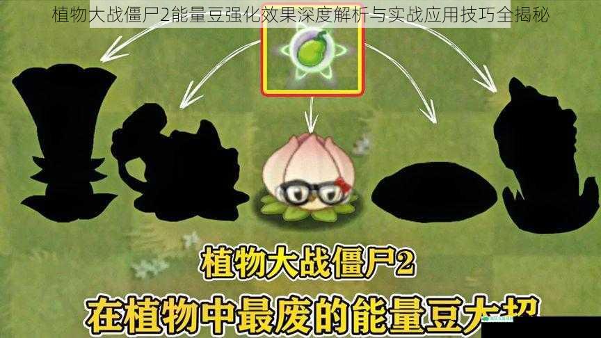 植物大战僵尸2能量豆强化效果深度解析与实战应用技巧全揭秘