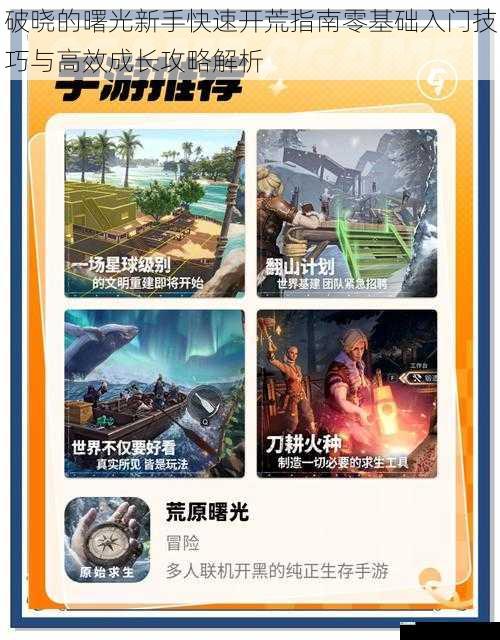 破晓的曙光新手快速开荒指南零基础入门技巧与高效成长攻略解析