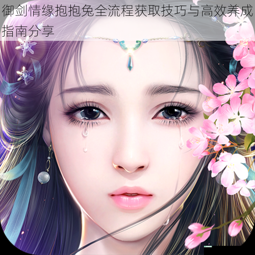 御剑情缘抱抱兔全流程获取技巧与高效养成指南分享