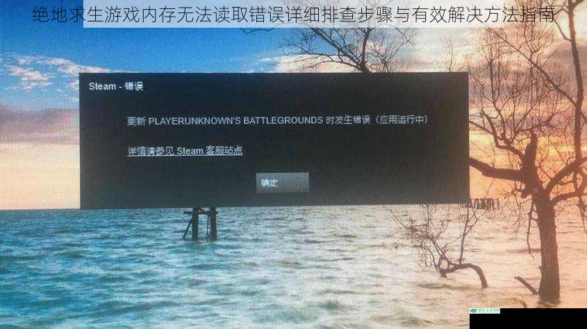 绝地求生游戏内存无法读取错误详细排查步骤与有效解决方法指南