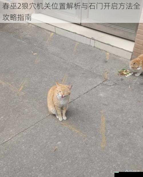 春巫2狼穴机关位置解析与石门开启方法全攻略指南