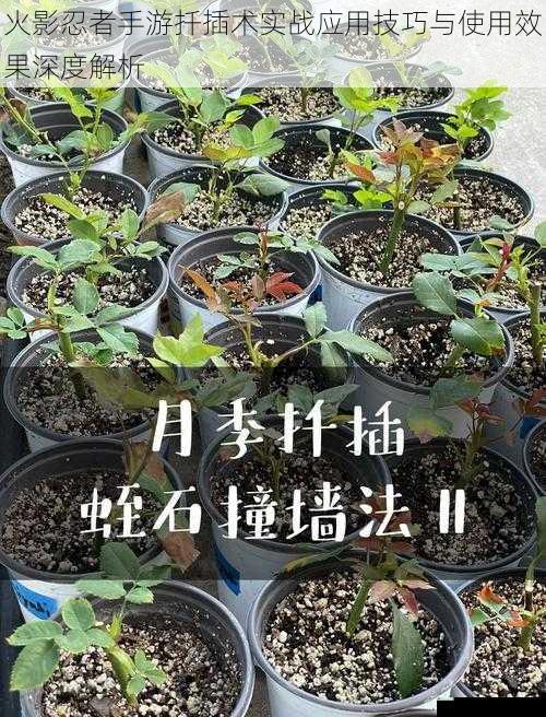 火影忍者手游扦插术实战应用技巧与使用效果深度解析