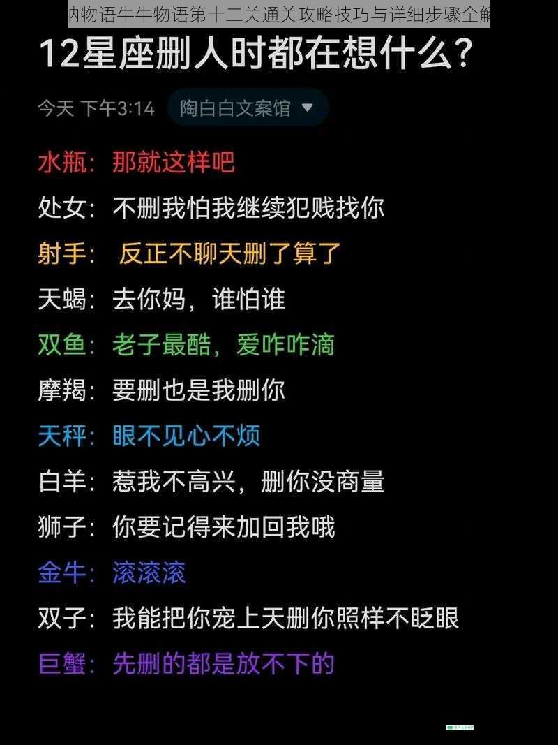 收纳物语牛牛物语第十二关通关攻略技巧与详细步骤全解析
