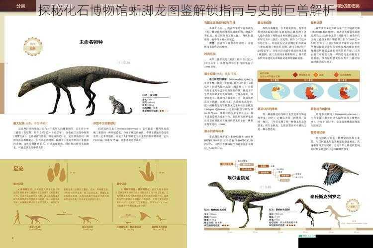 探秘化石博物馆蜥脚龙图鉴解锁指南与史前巨兽解析