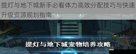 提灯与地下城新手必看体力高效分配技巧与快速升级资源规划指南